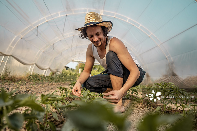 微笑的农民在阳光明媚的日子里照料温室里的植物图片素材