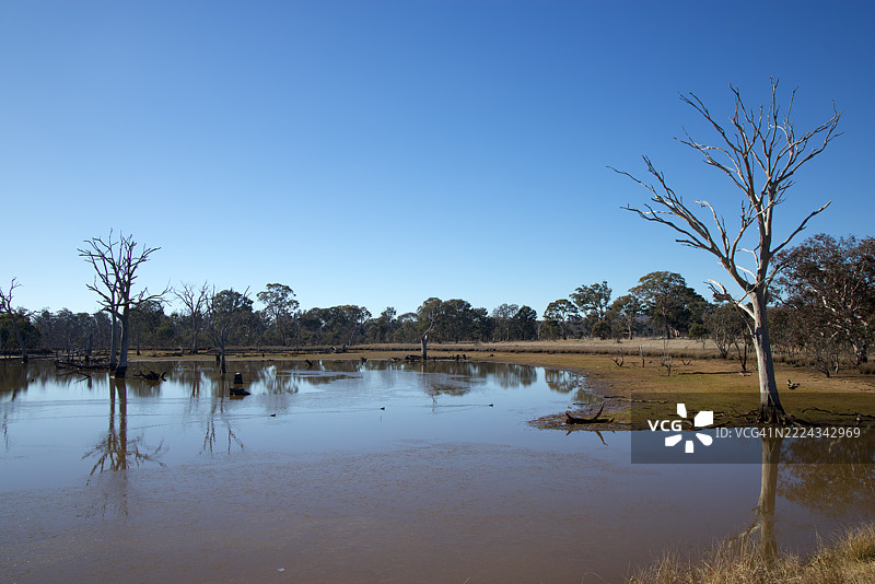 湿地，穆利根平原林地保护区，索斯比，澳大利亚首都领地，澳大利亚图片素材
