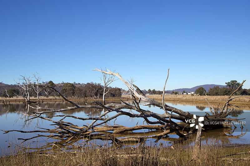 湿地，穆利根平原林地保护区，索斯比，澳大利亚首都领地，澳大利亚图片素材