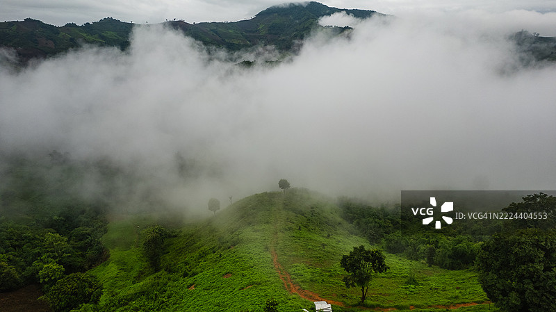 热带地形中，笼罩在薄雾中的绿色山道俯瞰图，四周环绕着郁郁葱葱的植被、零星的树木和低矮的云层。图片素材