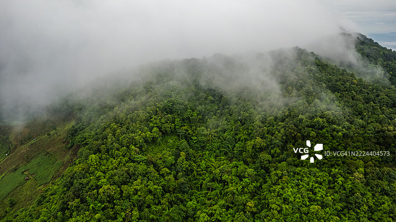 热带地区山坡上厚密绿色森林的鸟瞰图，部分被低垂的雾气和云层覆盖。图片素材
