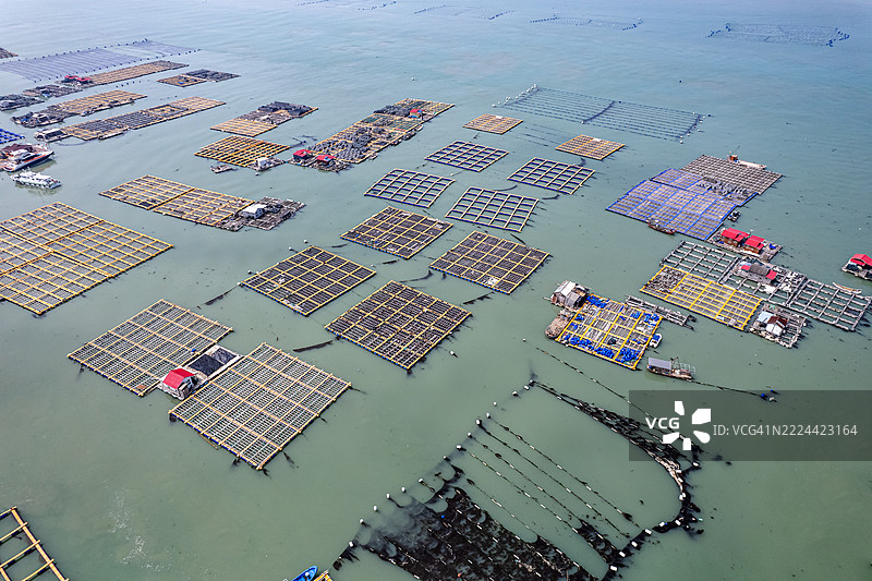 海上鱼类养殖筏的鸟瞰图，漂浮在平静的海面上，天空晴朗。图片素材