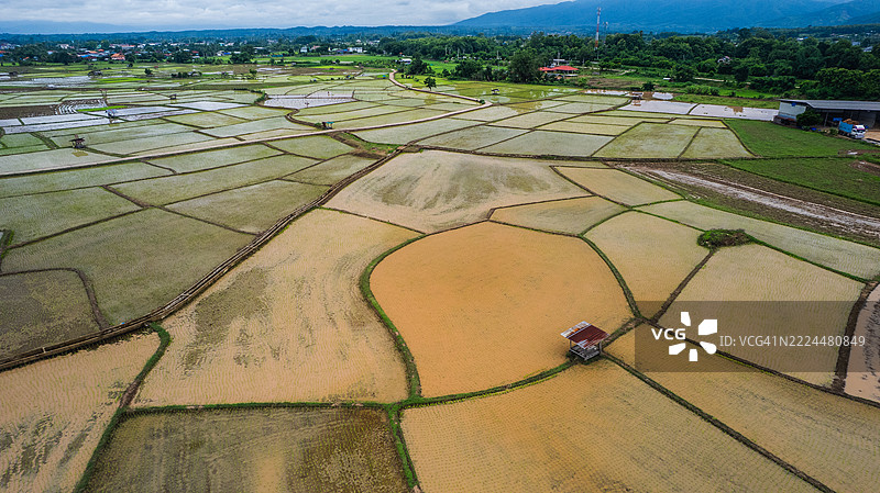 鸟瞰图：在自然环绕下，农村农业地区不同生长阶段的拼接稻田。图片素材