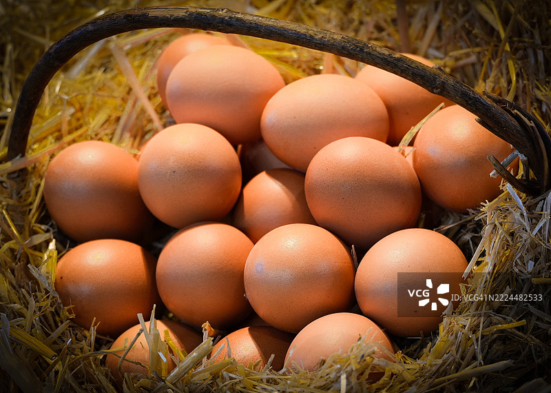 篮子里的鸡蛋食物图片素材