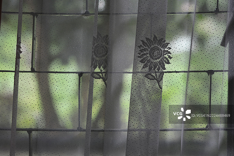 透过窗户看到的绿色户外景色图片素材