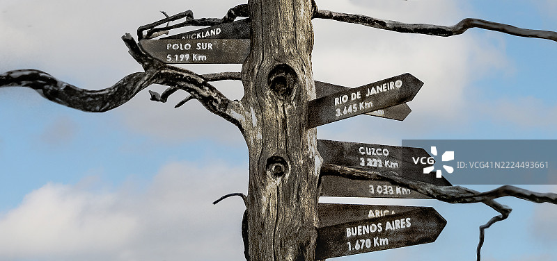 一棵干枯的树，上面有指示距离各个城市和地点的标志。图片素材