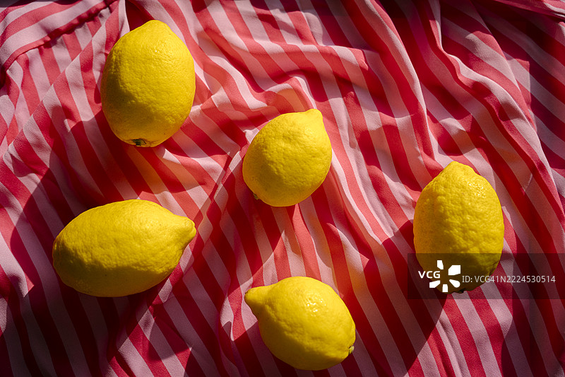 明亮阳光下，鲜艳的静物画，背景为粉红色和红色条纹布料，上面摆放着柠檬。图片素材
