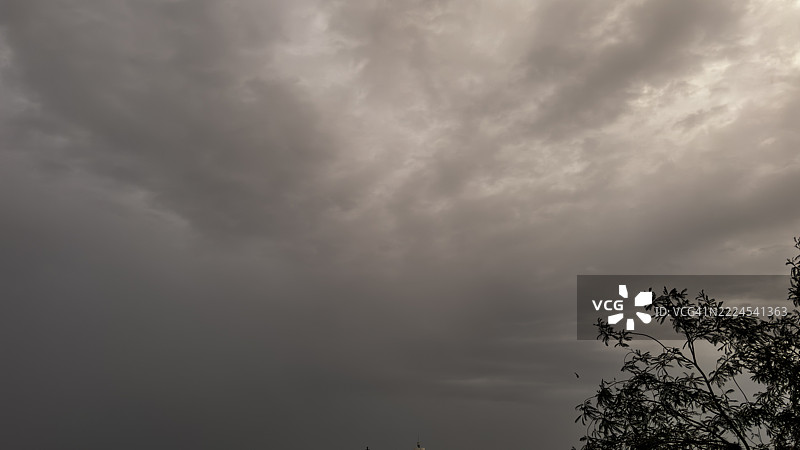 印度天空下树木剪影的低角度视图图片素材