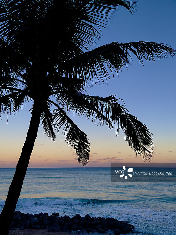日落时分，西棕榈滩，佛罗里达州，美国，海边的棕榈树剪影与天空相映成趣。图片素材