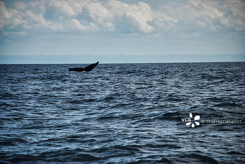 马达加斯加安阿兰吉罗福圣玛丽岛海面上的船只剪影与天空相映。图片素材