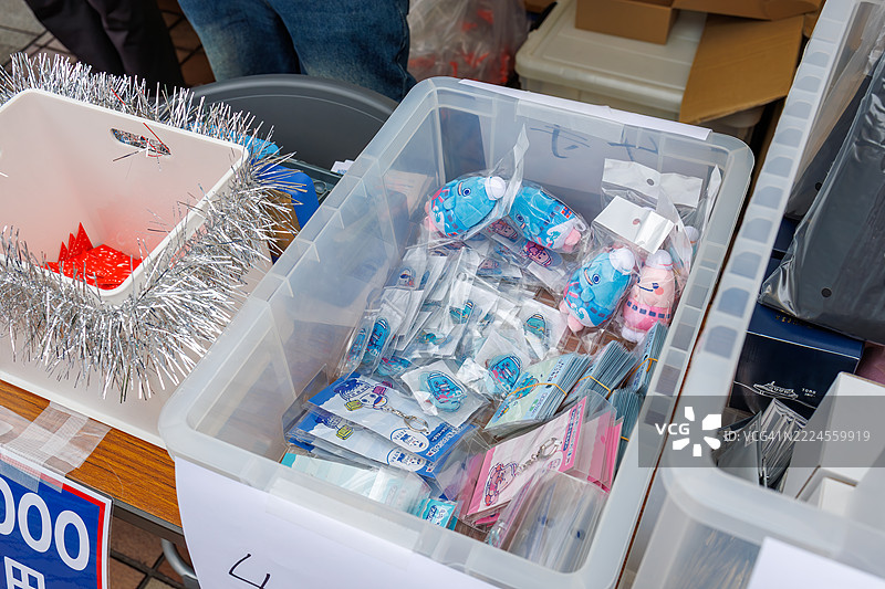 小笠原群岛生物模型。图片素材