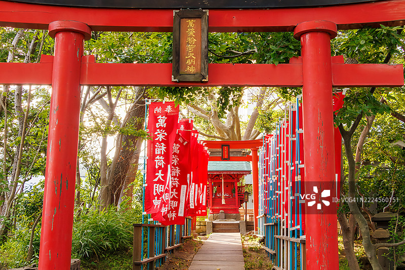 黄昏时分，位于车站前的亀岡八幡宮神社。红色鸟居的群体令人印象深刻。神社全天候向市民开放，免费入场。当地孩子们在神社的庭院里玩耍。图片素材