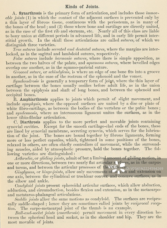 旧版雕刻插图，展示了一本人体解剖书中的一页，描述了人类关节，骨骼连接的地方，主要根据其结构分为三种类型：纤维关节、软骨关节和滑膜关节。图片素材