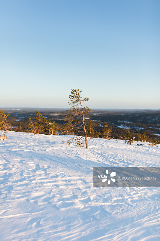 芬兰，拉普兰，冬季图片素材