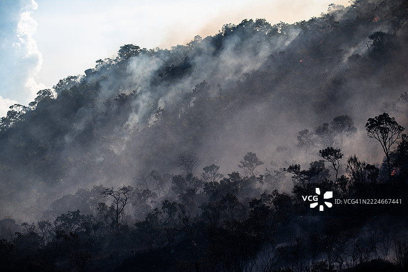 森林坡道上的野火烟雾图片素材