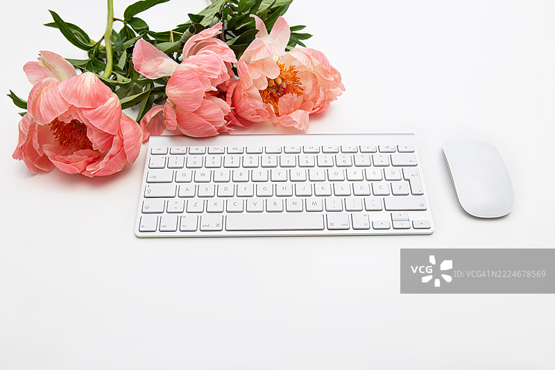 粉色牡丹办公室桌子图片素材