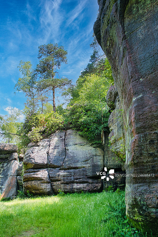 树木在岩石上生长，背景是天空，英国，汤布里奇威尔斯图片素材