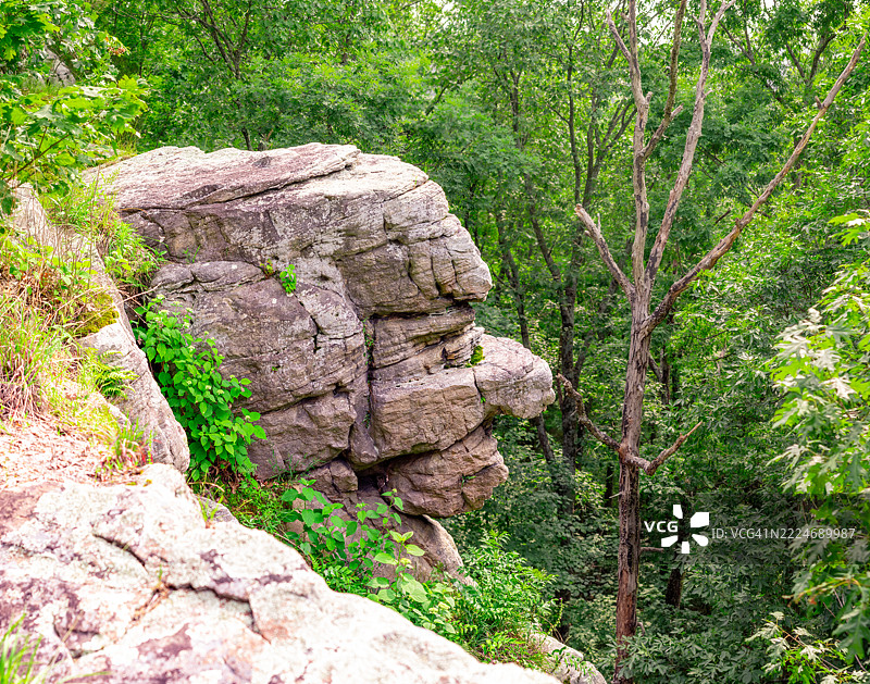 伊利诺伊州美国森林中的岩石景观图片素材