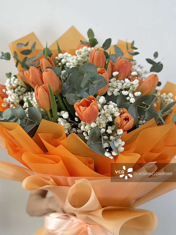 白色背景下的花朵特写，越南图片素材