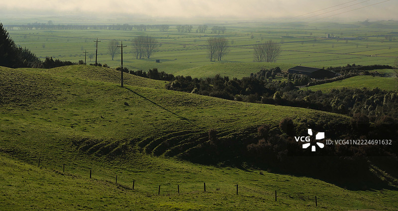 新西兰奥克兰的农业田野风光图片素材
