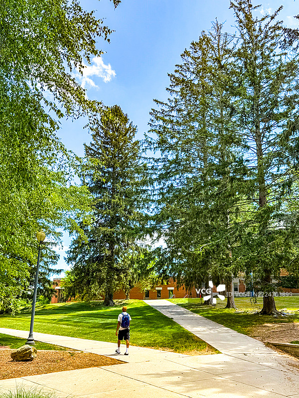 背着书包的学生在康涅狄格大学斯托斯校园的小路上行走图片素材