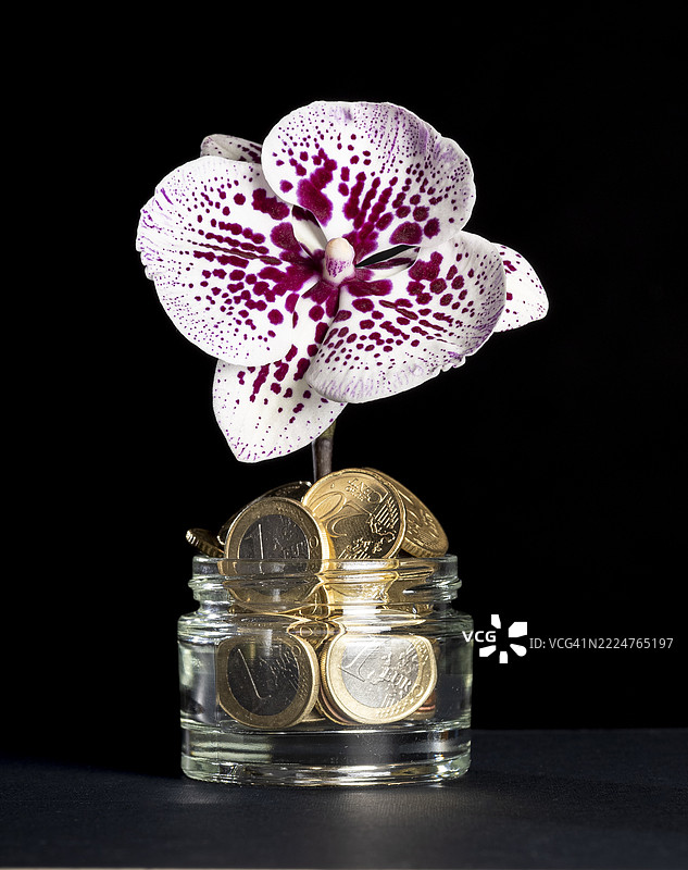 一罐欧元区硬币因经济表现良好而蓬勃发展。图片素材