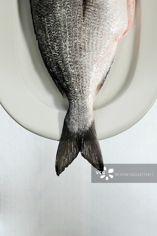 Omega 3 新鲜鱼类，海鲜市场，开胃菜和拉基概念图片素材