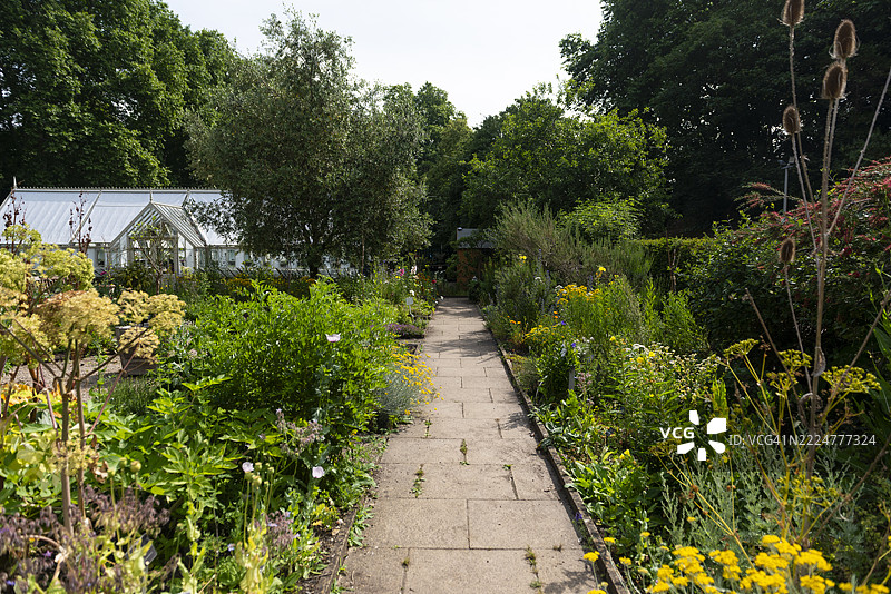 草药花园展示了各种芳香和烹饪植物，整齐地排列在床位上，供公众在英国伦敦欣赏。图片素材