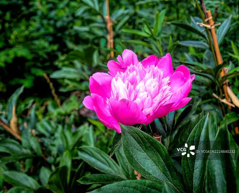 爱尔兰的美丽风景图片素材