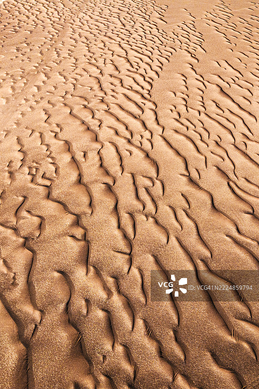 波纹状的沙漠沙子，皮埃德拉波梅斯地区图片素材