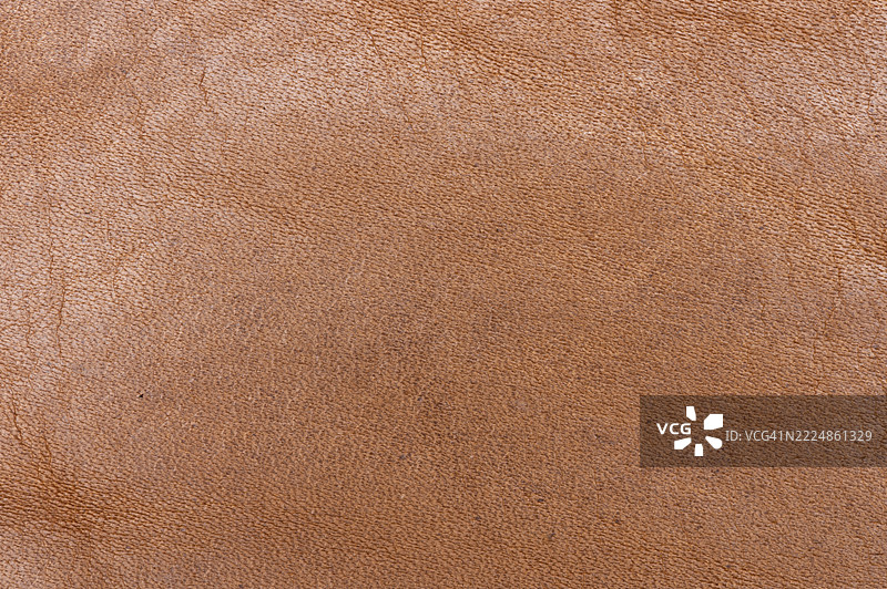高分辨率的棕色皮革背景纹理全景拍摄图片素材