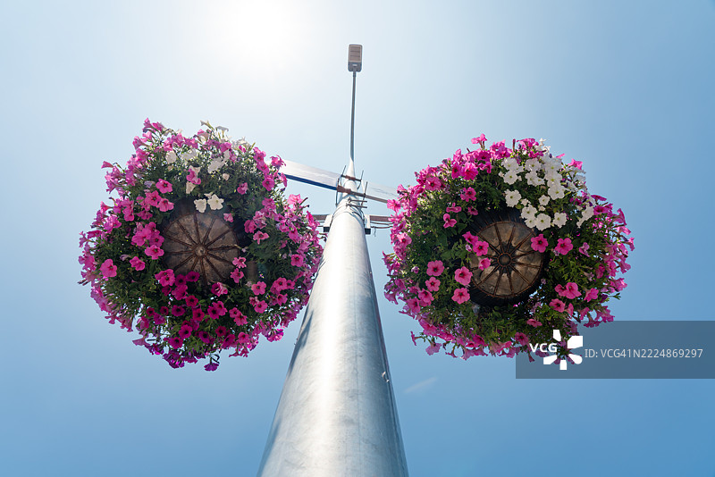 城市街灯上的花篮图片素材