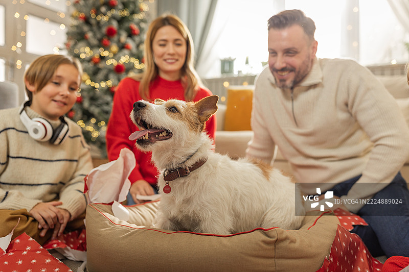 圣诞节是大家快乐的时刻图片素材
