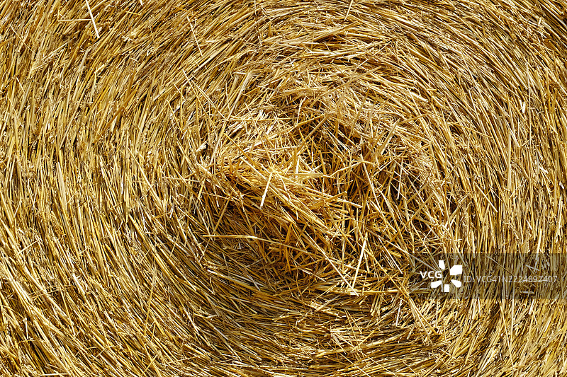 法国塞纳-马恩的麦田图片素材