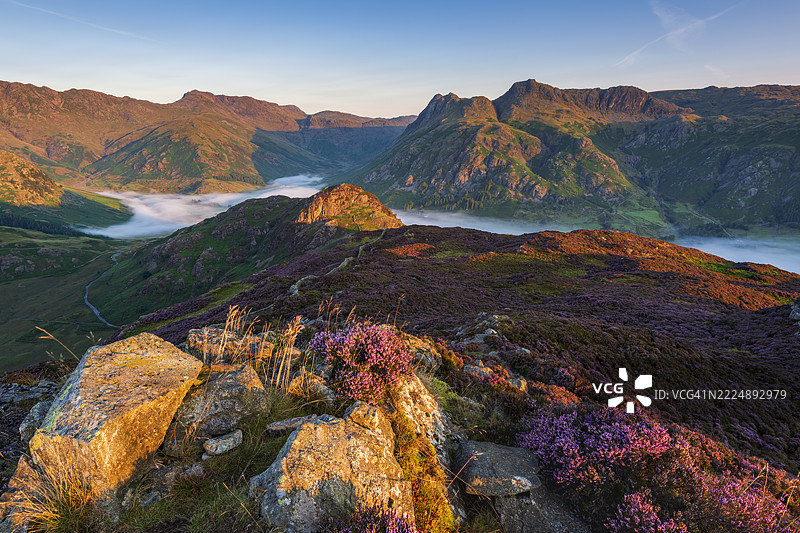 金色时光洒在坎布里亚的朗代尔山脉和石南花上图片素材