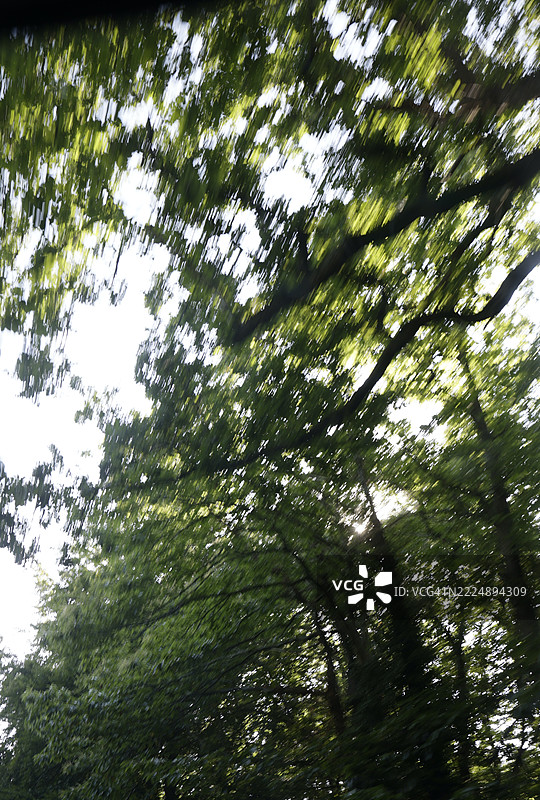 快速掠过的树木图片素材