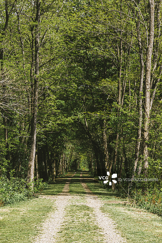 查洛斯的绿道小径图片素材