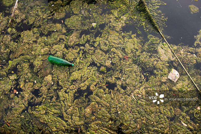 漂浮在河面上的塑料瓶被绿色藻类覆盖图片素材