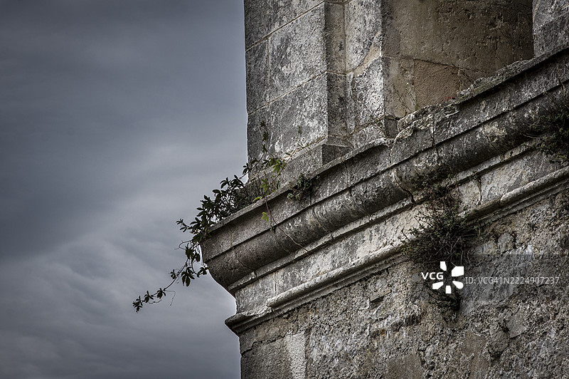 Ciboure的钟楼石上的植被图片素材