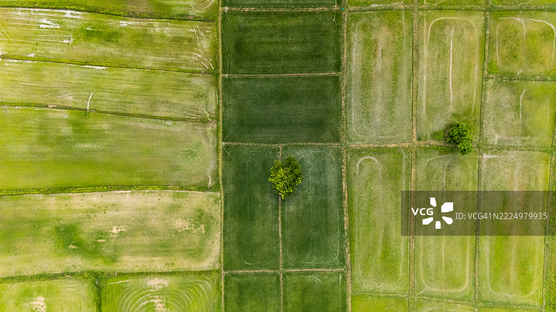 泰国清莱省稻田的鸟瞰图。图片素材