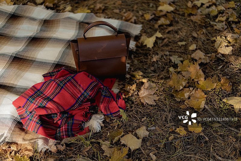 秋天的场景，毯子、格子披肩和背包散落在落叶和干草丛中。图片素材