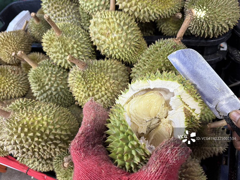 水果摊贩戴着手套打开榴莲图片素材