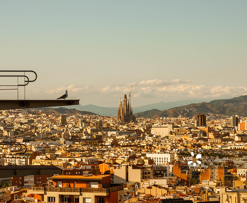 城市守护者，一只海鸥从优越的视角俯瞰巴塞罗那的天际线图片素材