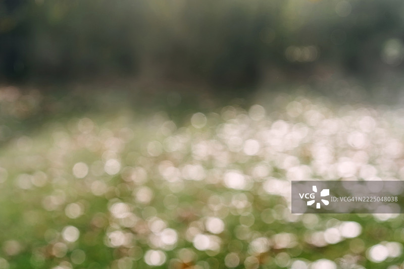 模糊的秋季背景，柔和的自然散景和阳光在草地上的反射，适合留白和季节性设计。图片素材