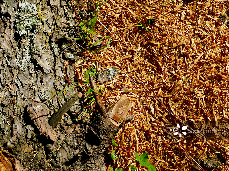 花园用木屑覆盖物图片素材