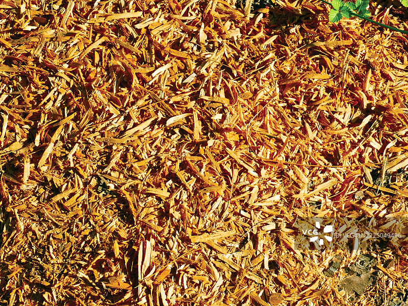 花园用木屑覆盖物图片素材