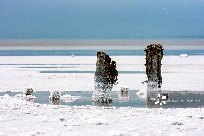 俄罗斯埃尔顿湖上古老木桩上的盐沉积物图片素材