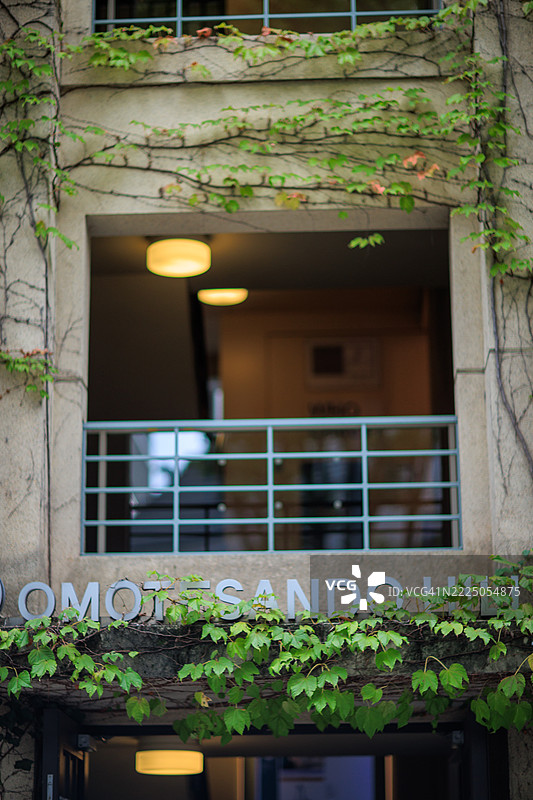 十月的东京表参道氛围图片素材