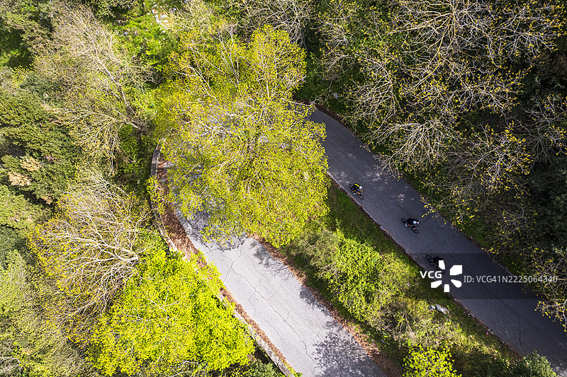 森林中铺设沥青道路上的骑自行车者，鸟瞰图图片素材
