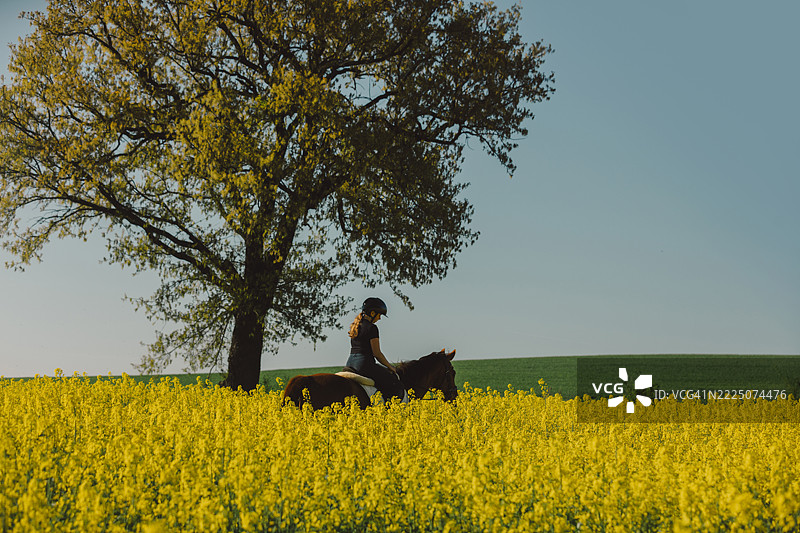 女孩骑马穿过乡村风景中的油菜花田图片素材